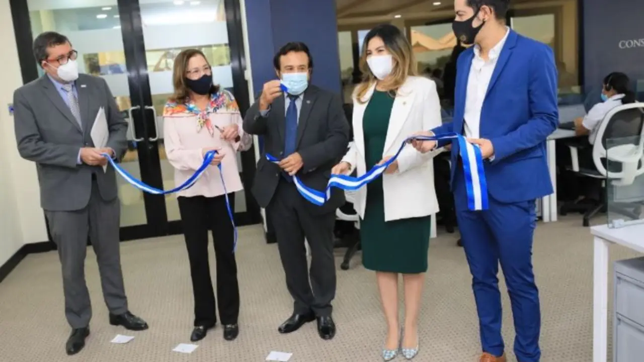 Consulador virtual20