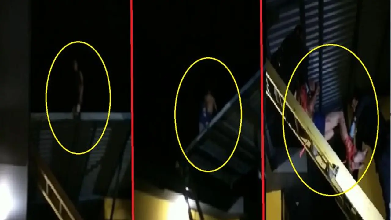 Techo de ferreter&iacute;a