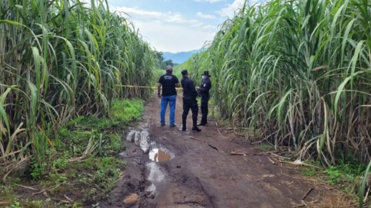 Trabajador de 70 a&ntilde;os de la construcci&oacute;n