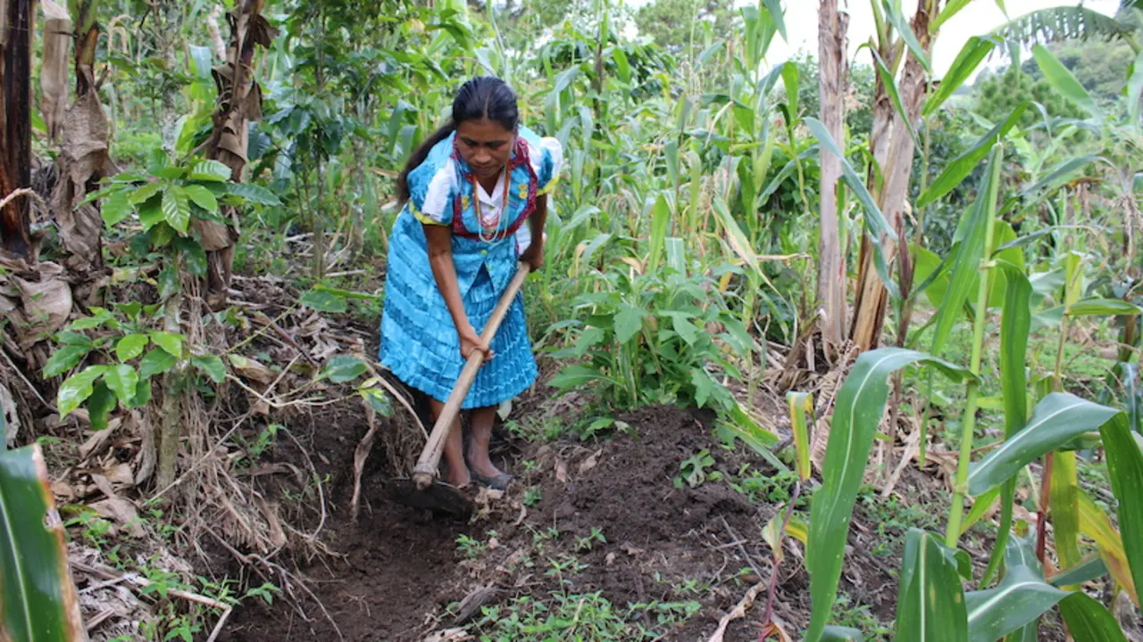 mujer agricultura