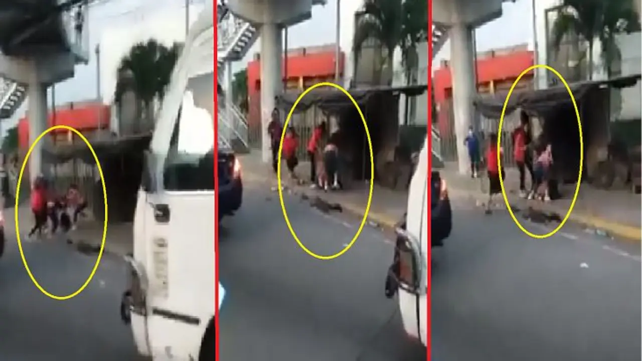 Agarrones de pelo y manotazos