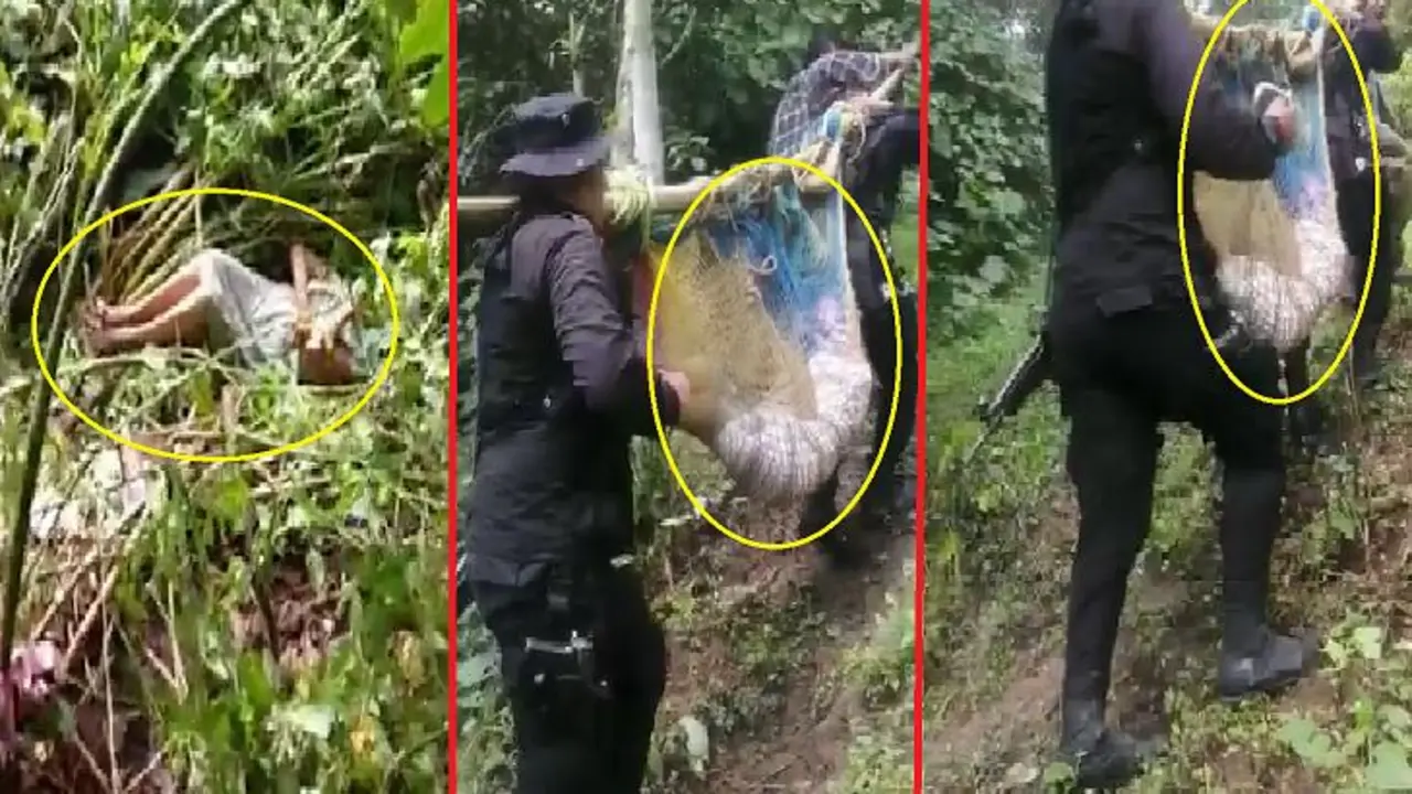 Polic&iacute;a rescata a mujer de 87 a&ntilde;os reportada como desaparecida