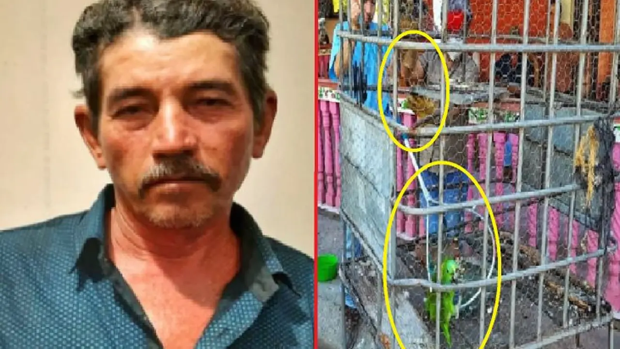 con varios animales silvestres