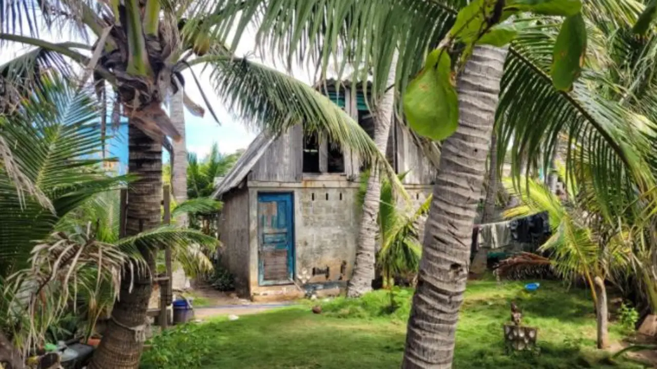 Encuentran armas de fuego