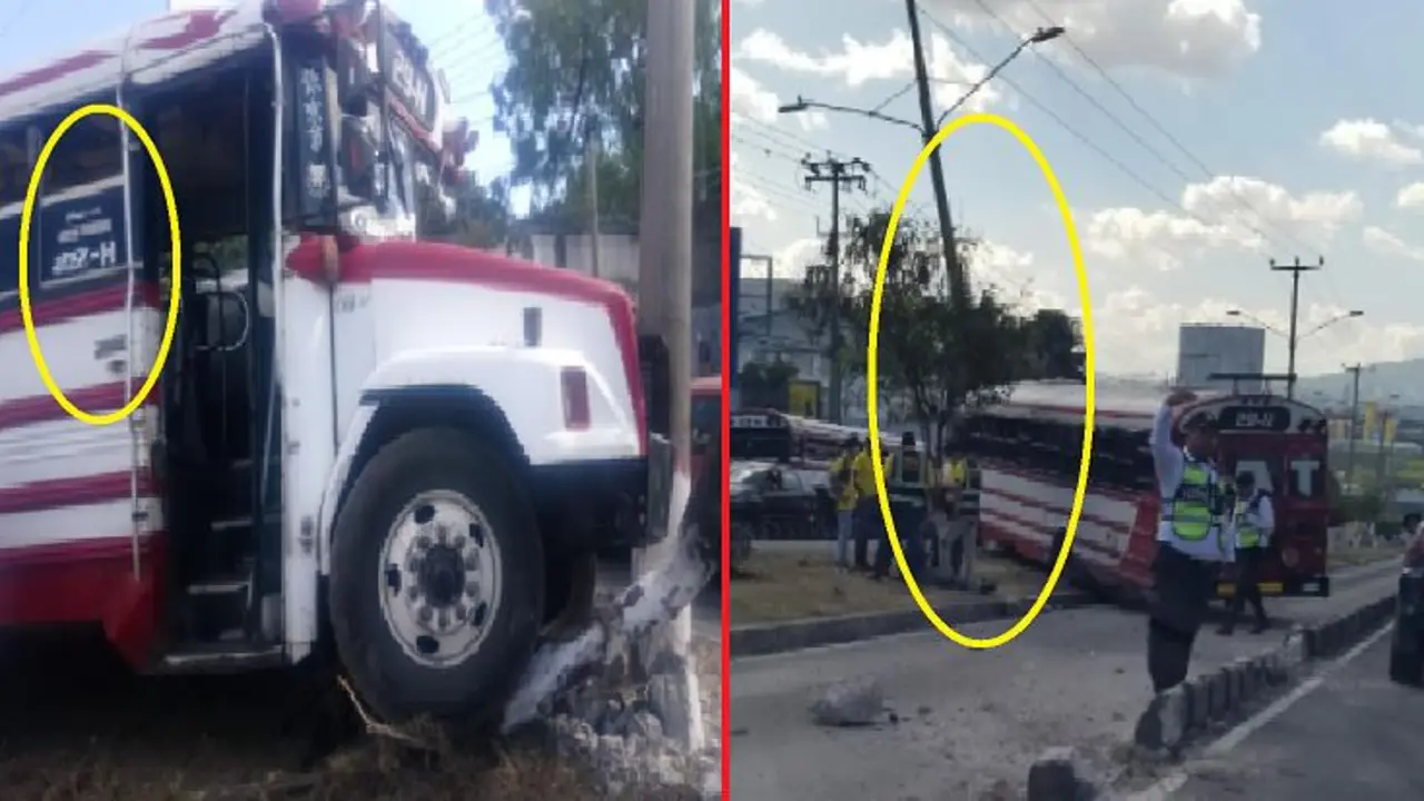 Busero de la ruta 29