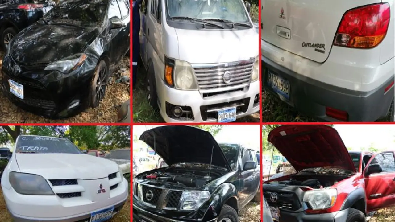 Catorce carros a coyotes