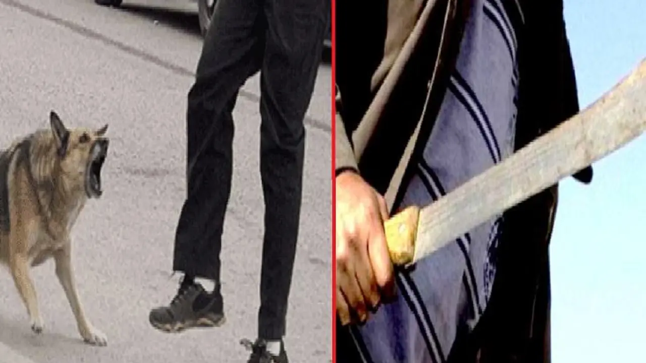 Por dar patada a perro