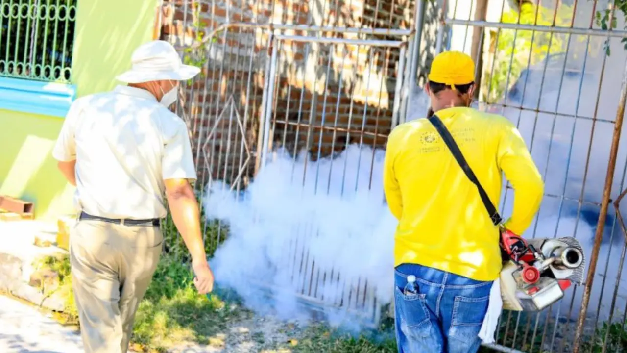 Lanzan megajornada de fumigaci&oacute;n