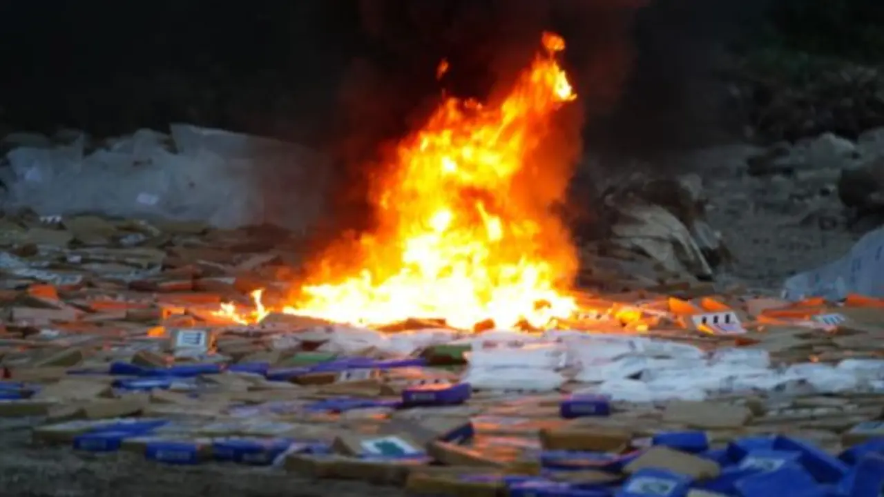 Destruyen coca&iacute;na