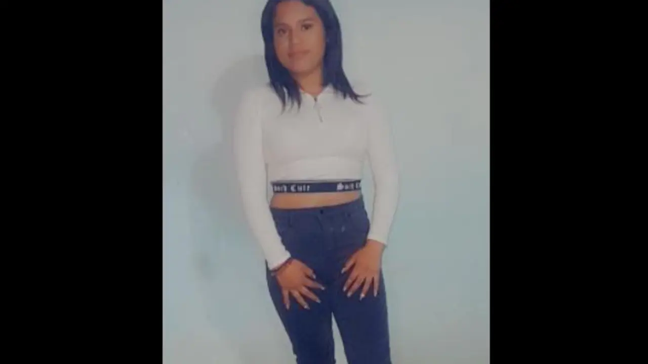 Desaparece al salir a realizar compras