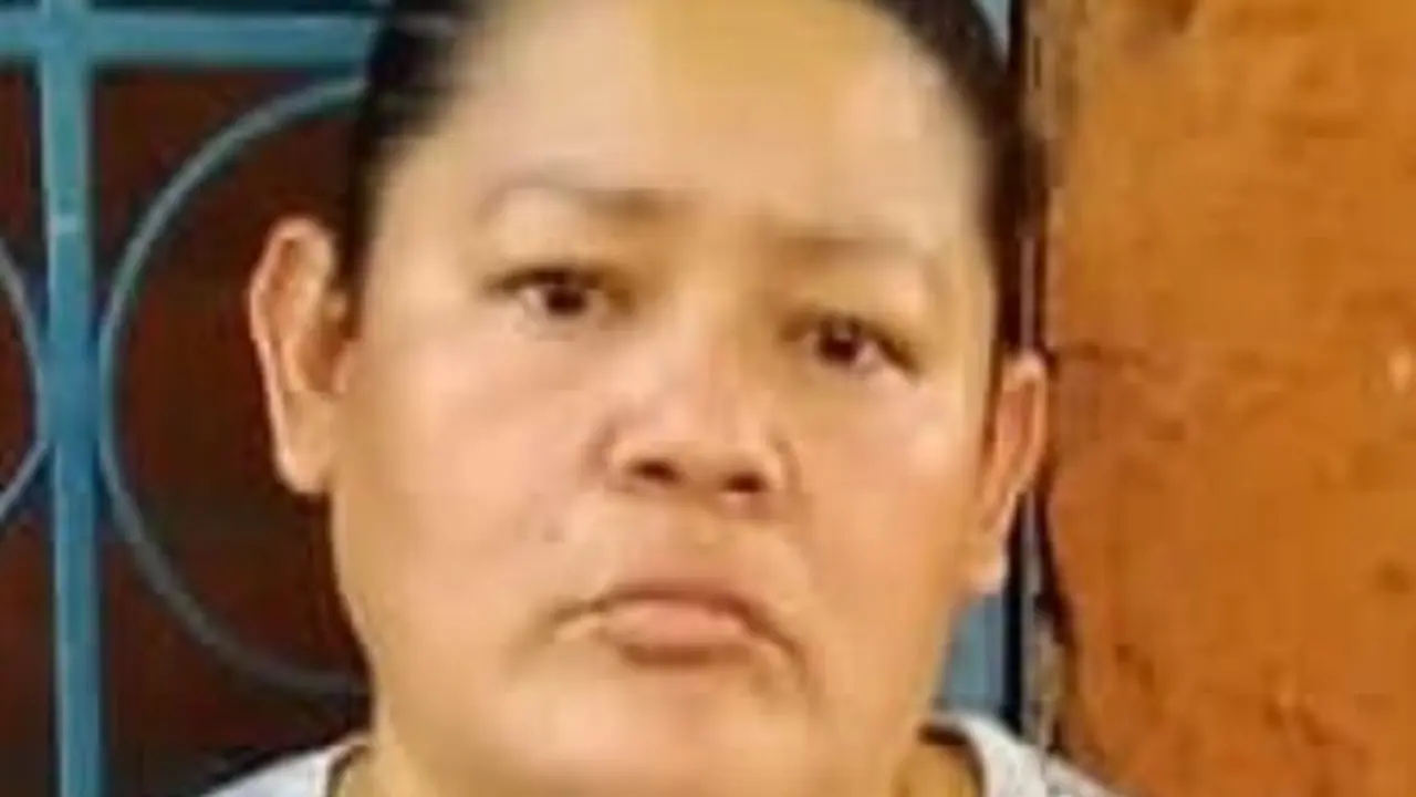 La detienen por robar celular en la ruta 7