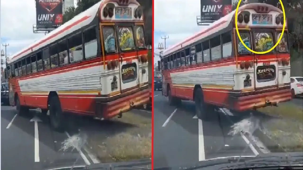 Busero de la 44 pasando en zona verde