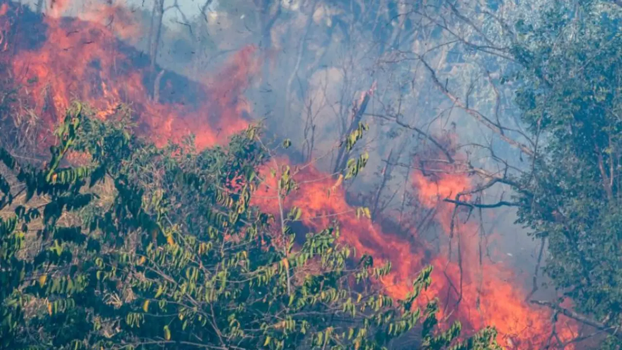 Alerta roja por incendio