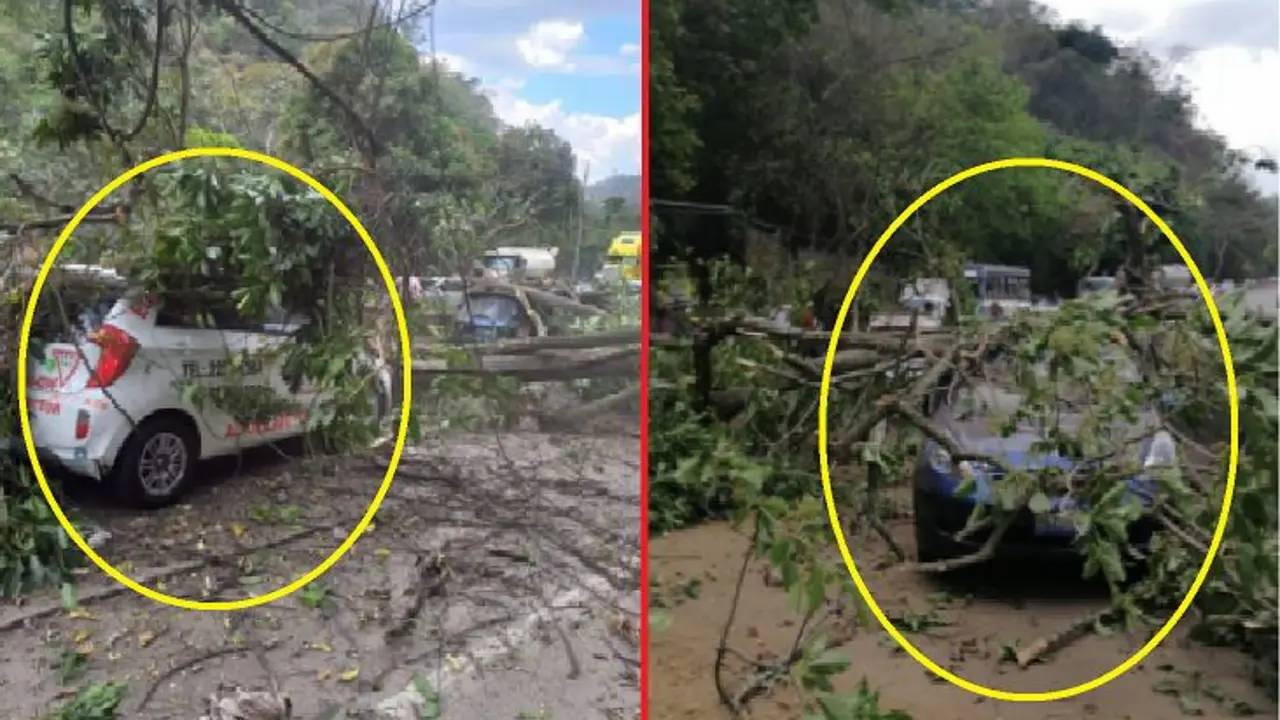 Dos veh&iacute;culos da&ntilde;ados en derrumbe en Los Chorros