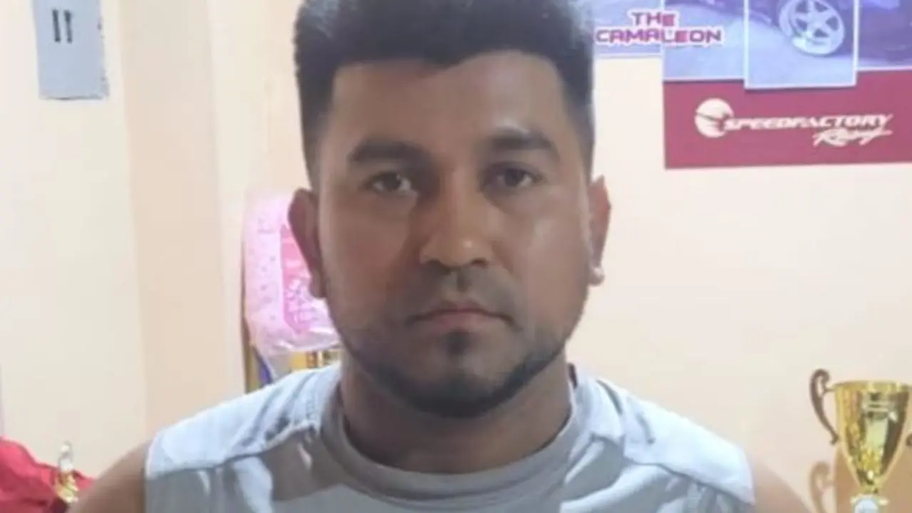 Carne de vaca y caballos