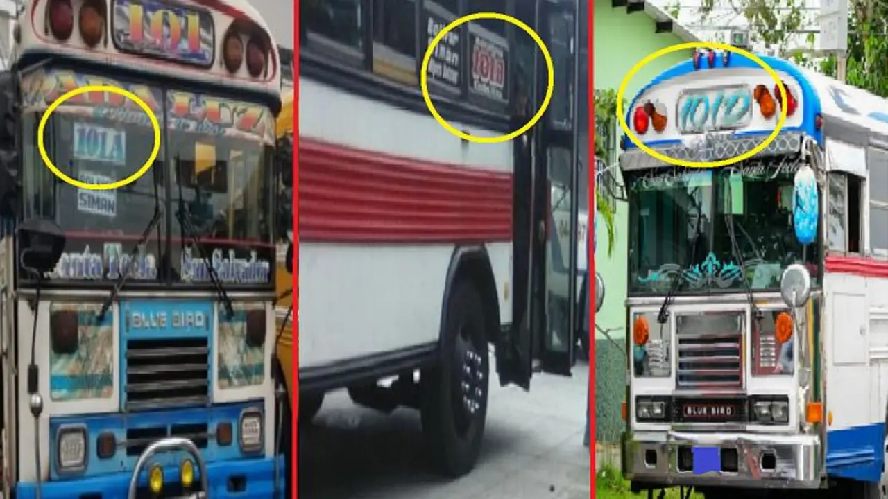 Sancionar&aacute;n a buseros de la 101