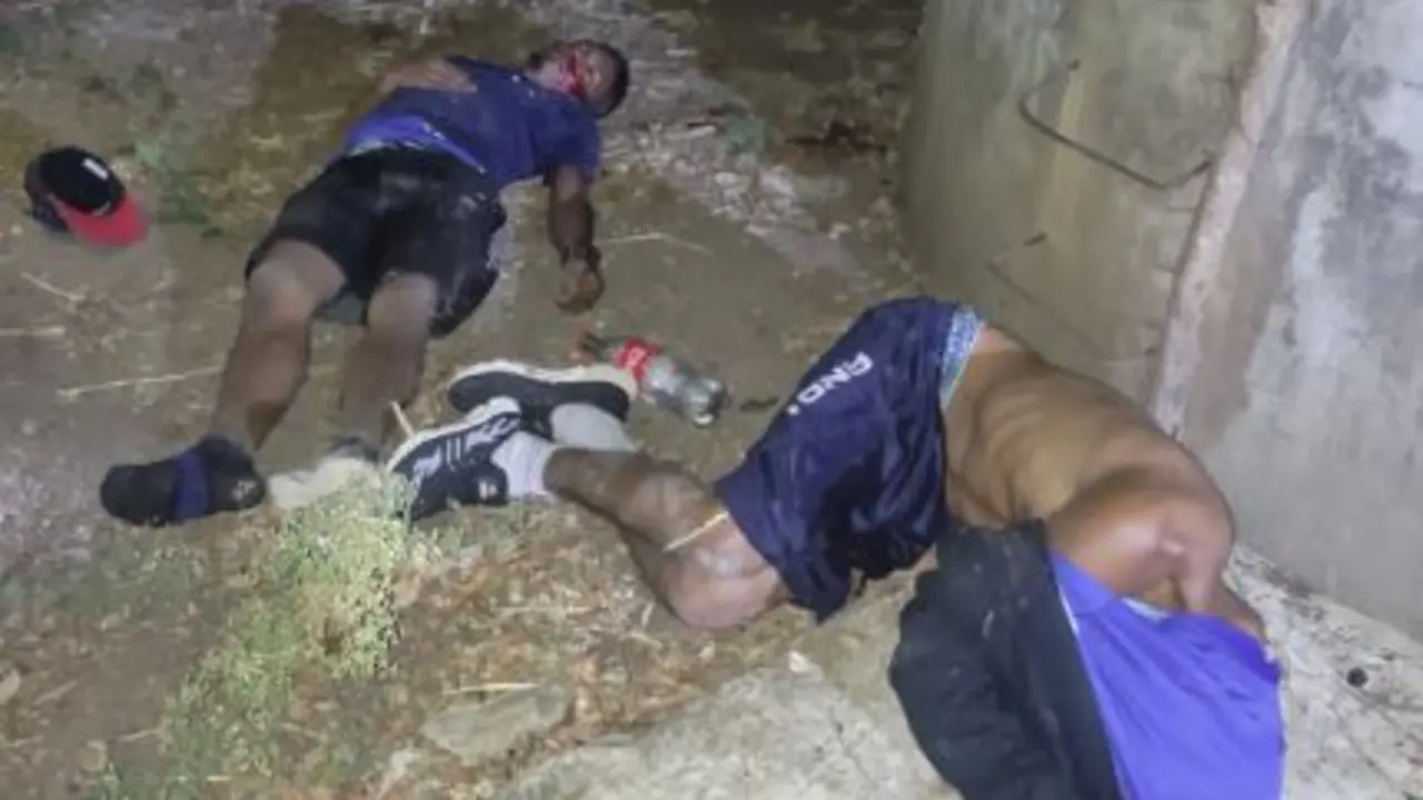 Fingiendo estar muertos