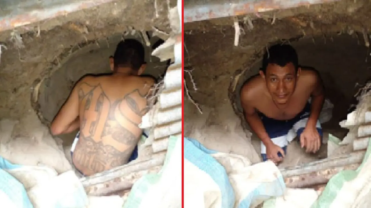 Se escond&iacute;a en una cueva