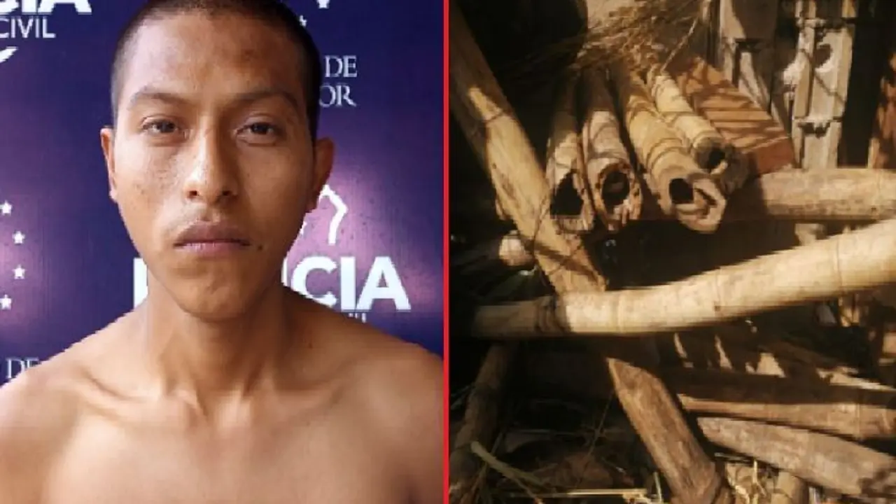 Pandillero se escond&iacute;a en varas de bamb&uacute;