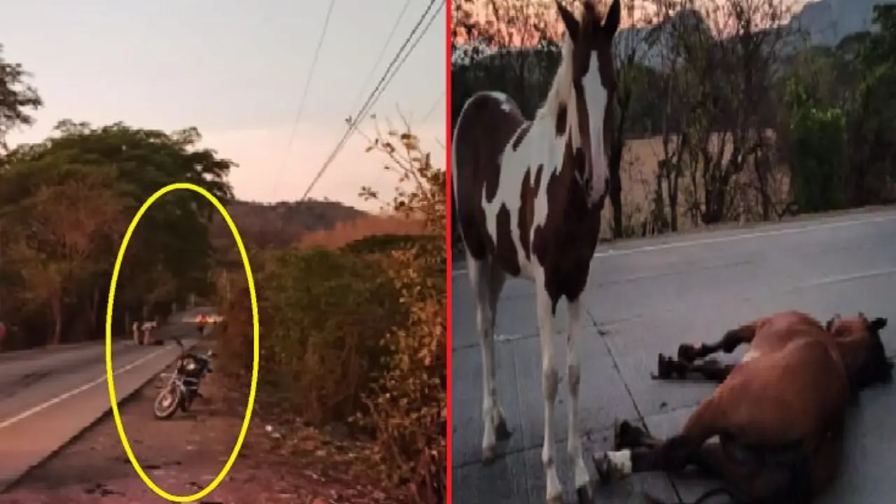 Motociclista de 60 a&ntilde;os