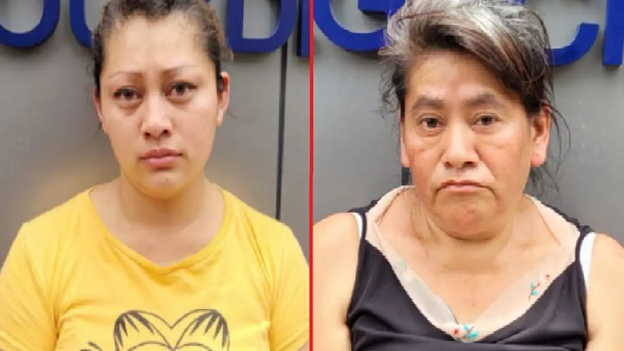 Compa&ntilde;era de vida y la mam&aacute;