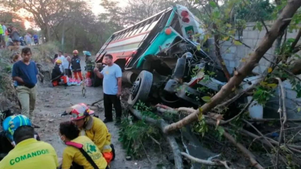 Bus se estrella contra &aacute;rboles