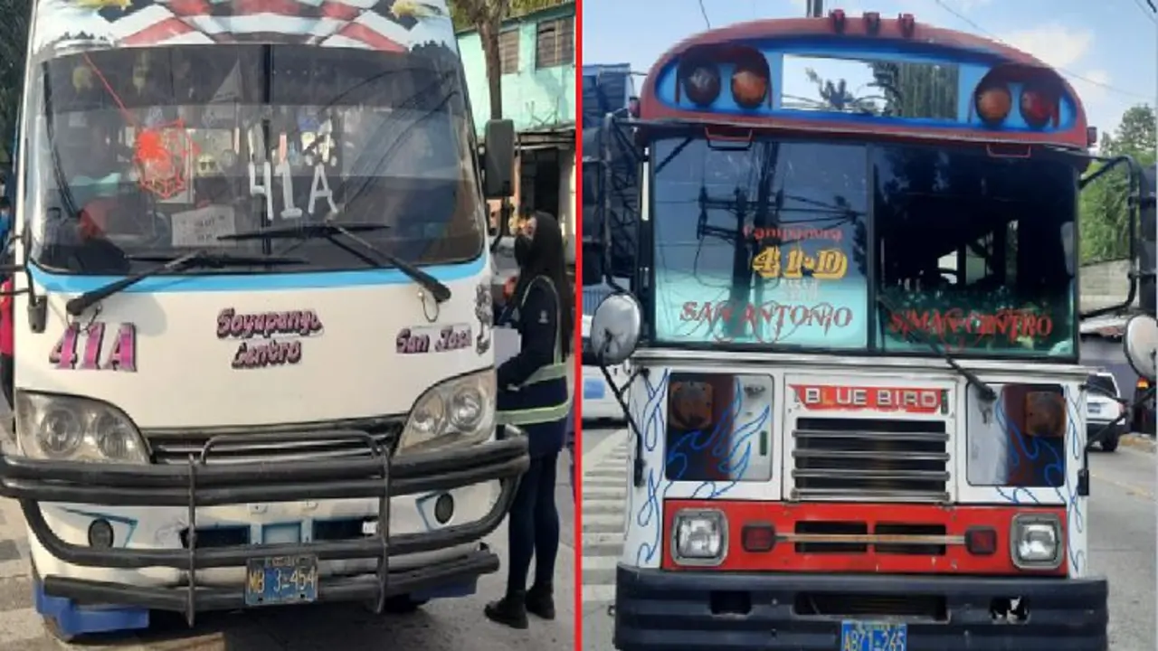 Microbusero y busero