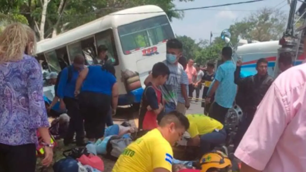 Microb&uacute;s de la 113