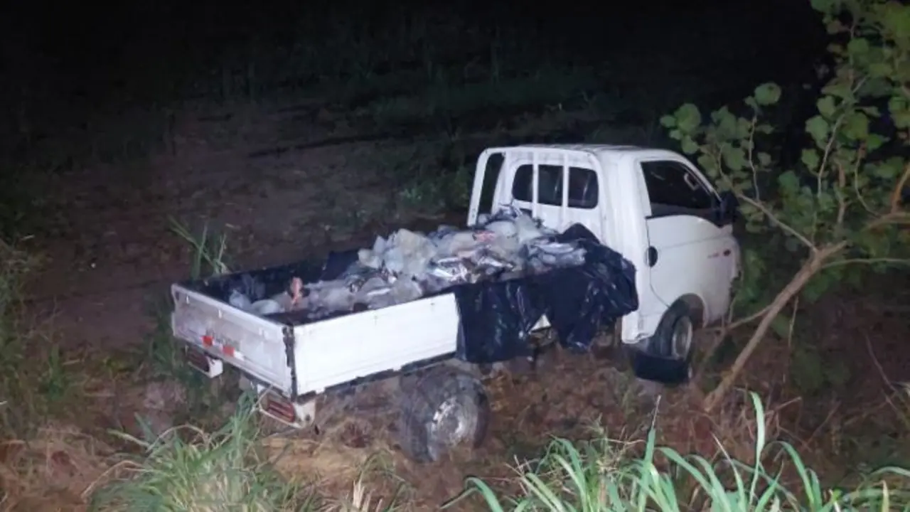 Abandonan pick up con 500 libras de pescado