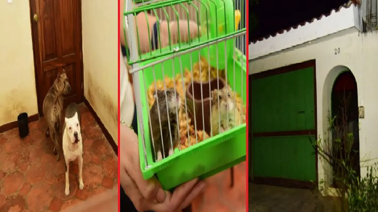 Casa destroyer en Antiguo Cuscatl&aacute;n