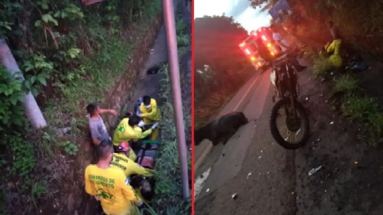 Chocaron contra una vaca