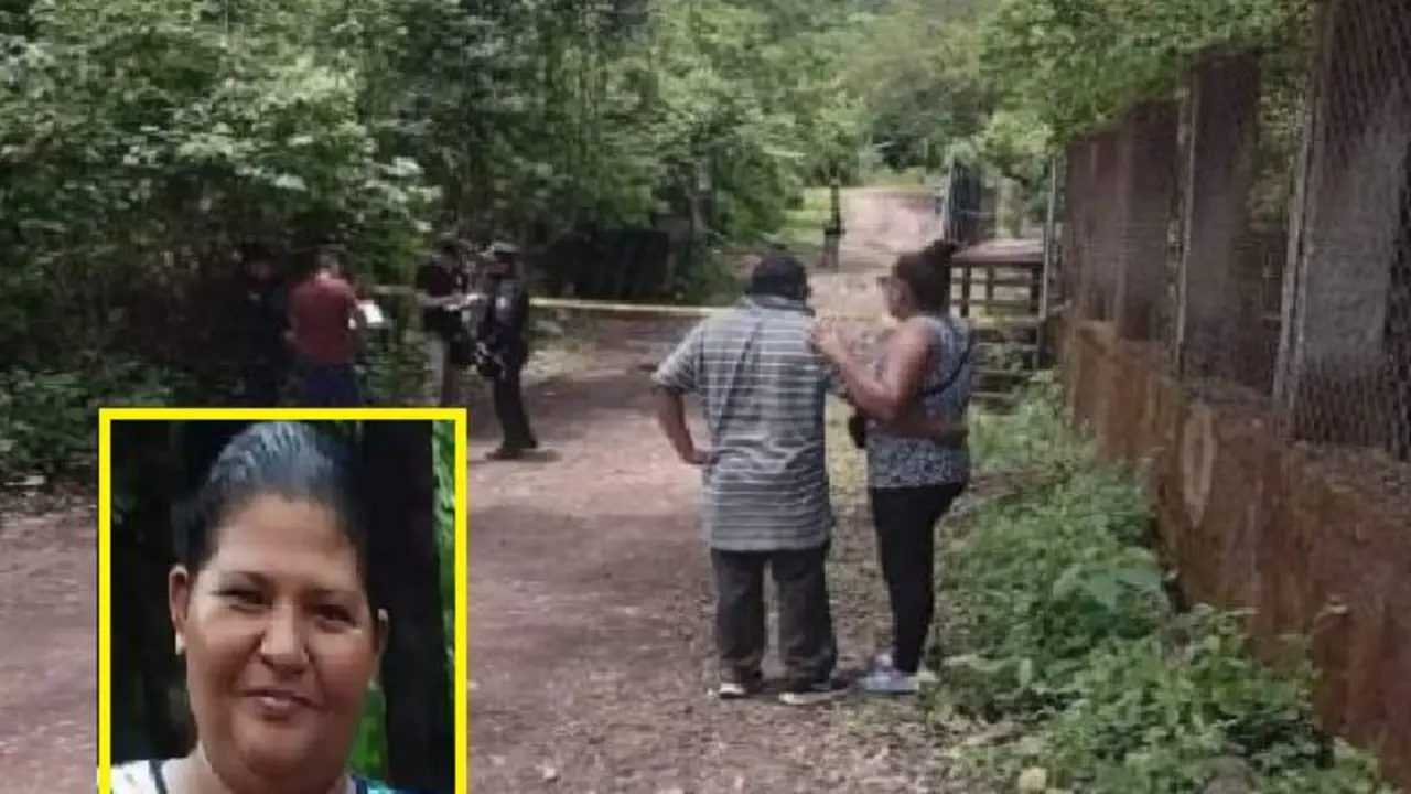 En libertad la pareja de los perros