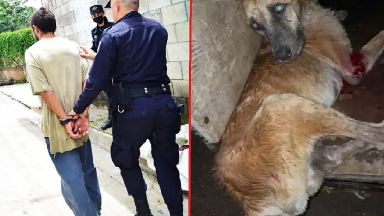 Detenido por machetear perro