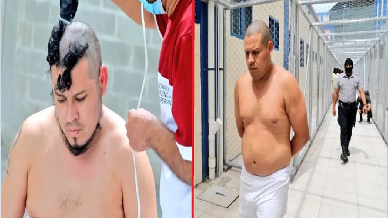 Le quitan el cabello