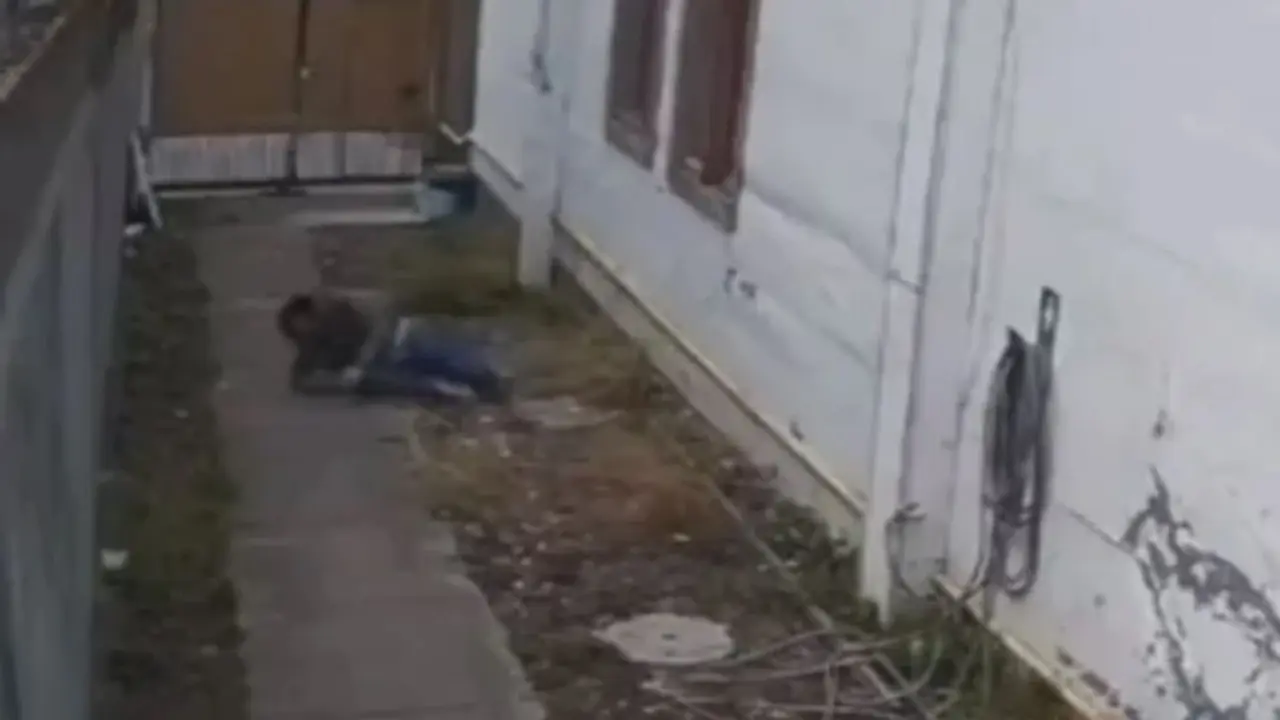 Entr&oacute; a prost&iacute;bulo