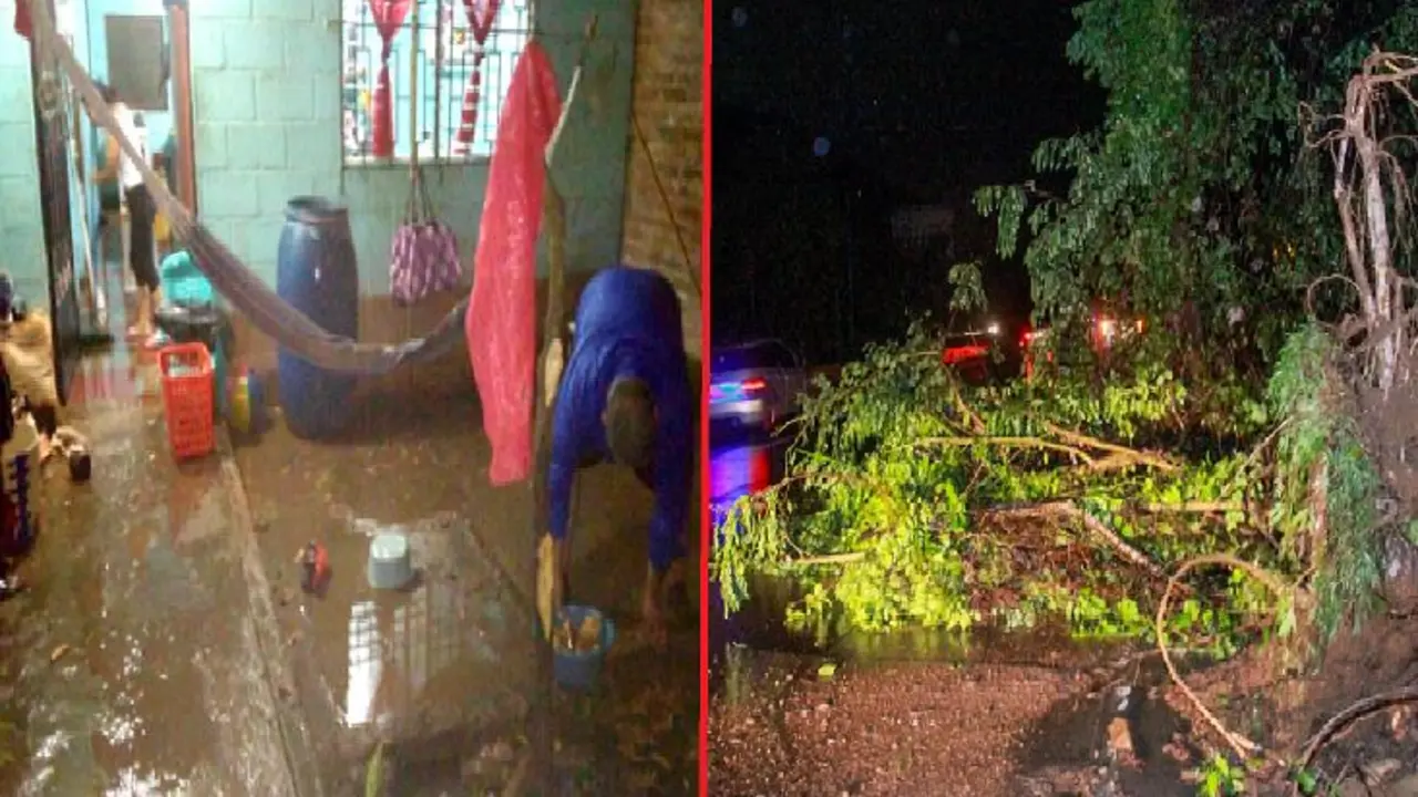 Casas inundadas y &aacute;rboles ca&iacute;dos