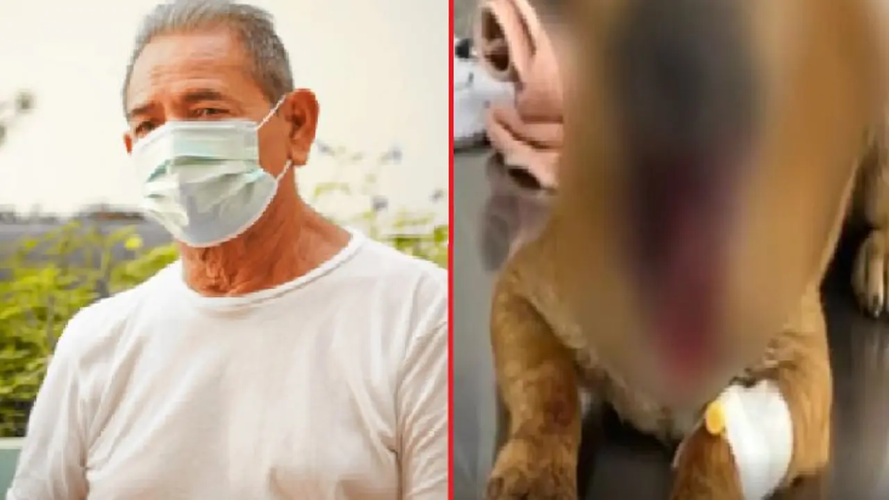 Lesion&oacute; mand&iacute;bula