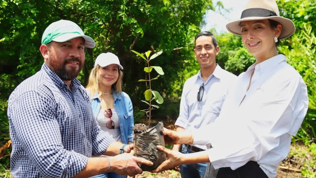 Programa de Rescate de Manglar en la Barra De Santiago, Sonsonate, El Salvador, el 20 de julio de 2022, durante la visita de personal de FUNDEMAS y de Banco Davivienda Salvadore&ntilde;o.Foto Banco Davivienda Salvadore&ntilde;o/Salvador Mel&eacute;ndez