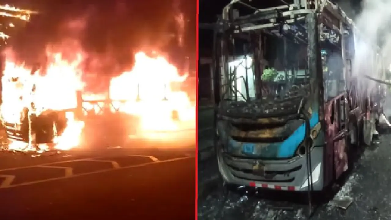 Incendio de la ruta 29