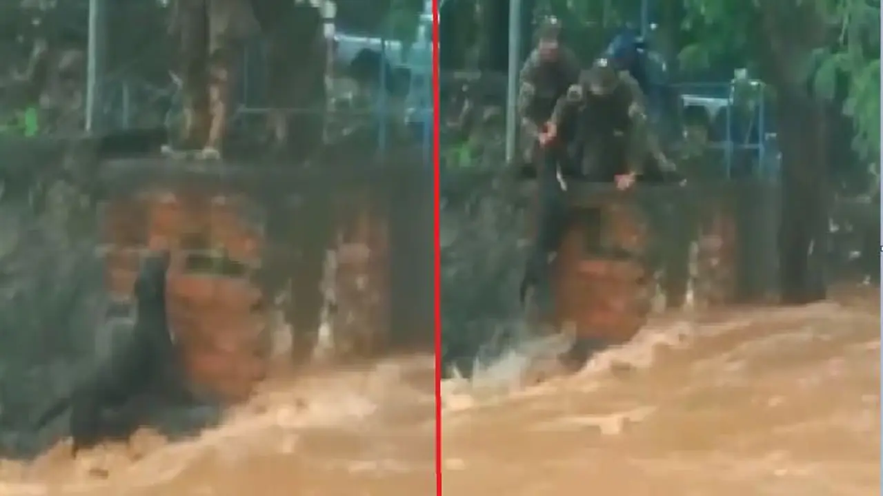 Militares rescatan a un perro