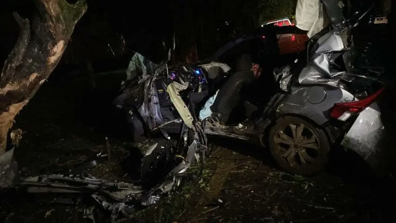 Automovilista muere al chocar contra &aacute;rbol
