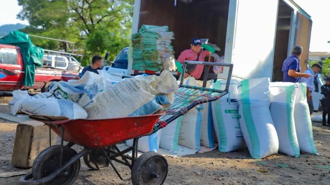 Frijol en San Vicente