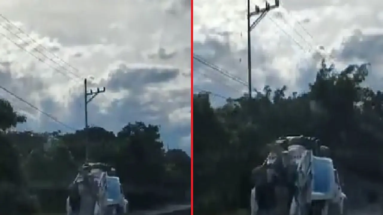 Recolector de basura