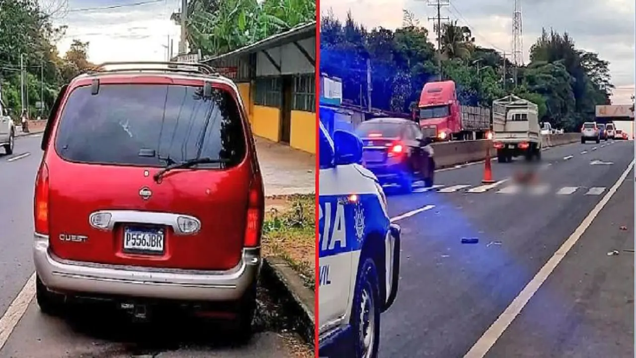 Chapin que atropell&oacute;