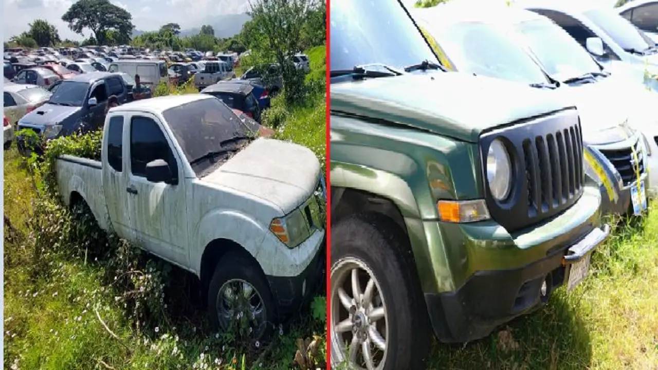 Once veh&iacute;culos