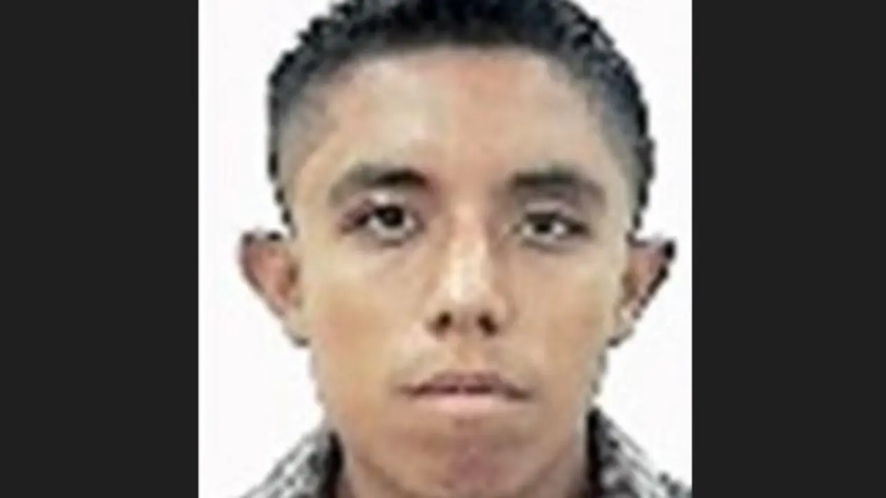 Coyote en San Miguel