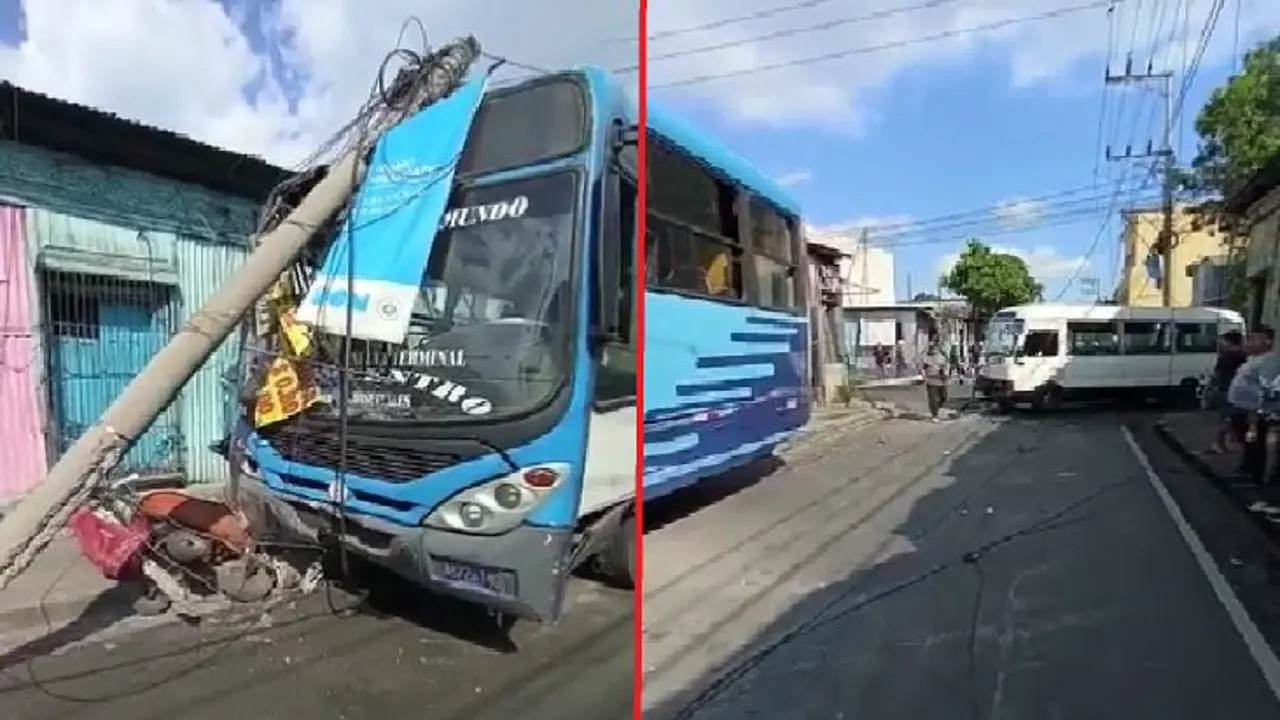 Busero de la 29 vota postes