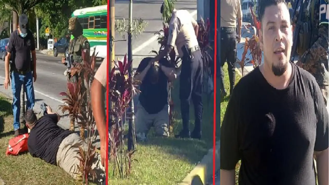 Ladr&oacute;n de Merliot