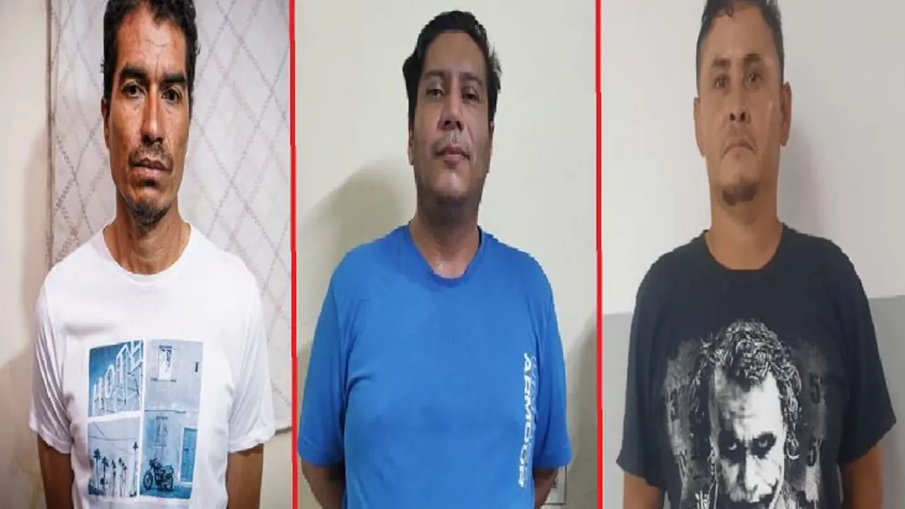 Red de pornograf&iacute;a