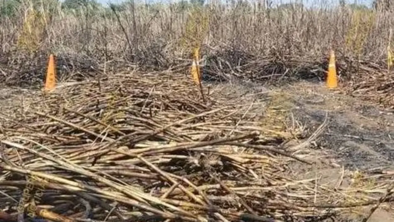 Calcinado en ca&ntilde;ales